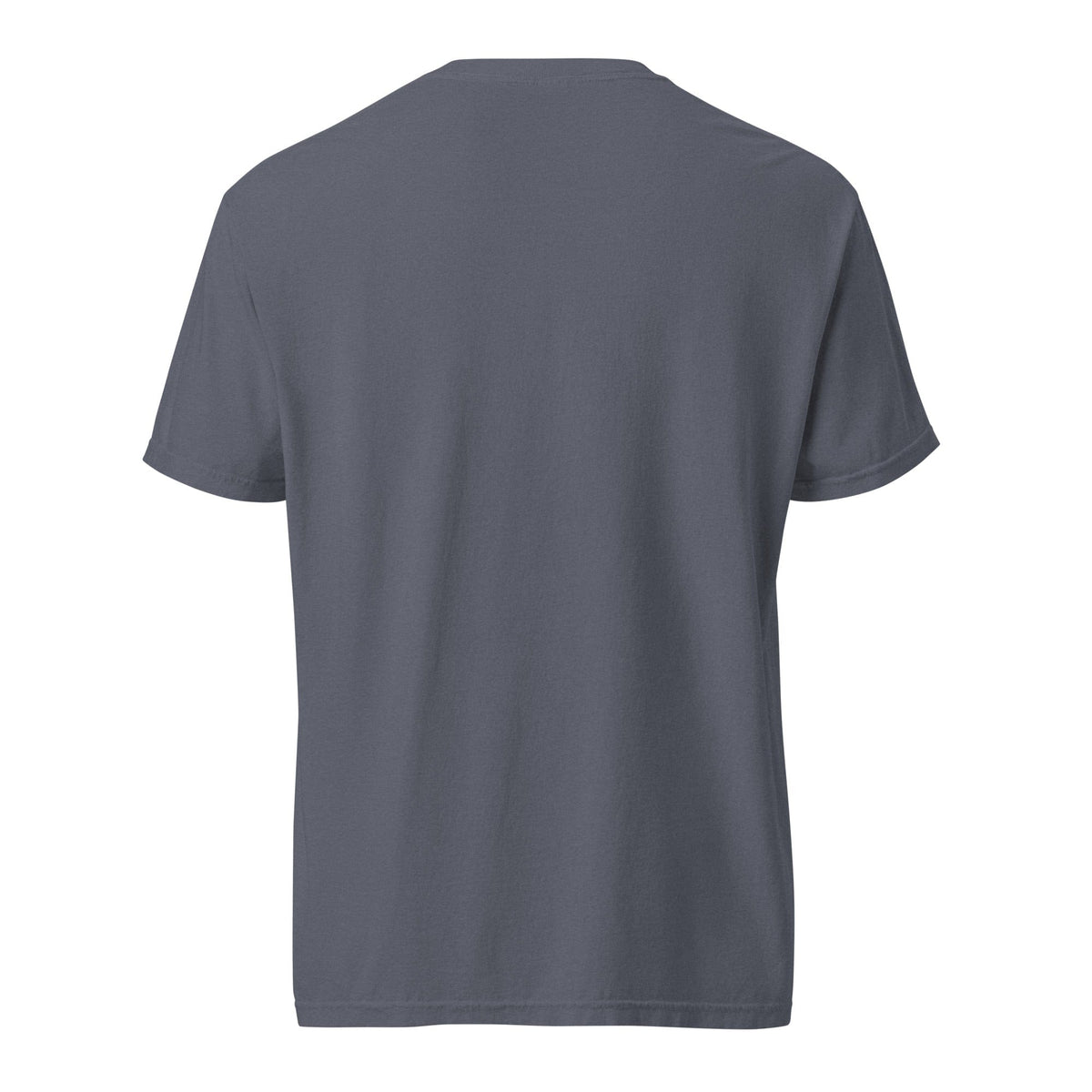 Hanz Race DVSN Heavyweight T-shirt vintage Grey